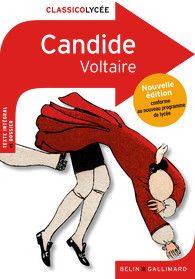 Les cerfs-volants - Romain Gary - Éditions Gallimard