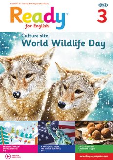 Ready for English - Teacher's Pack